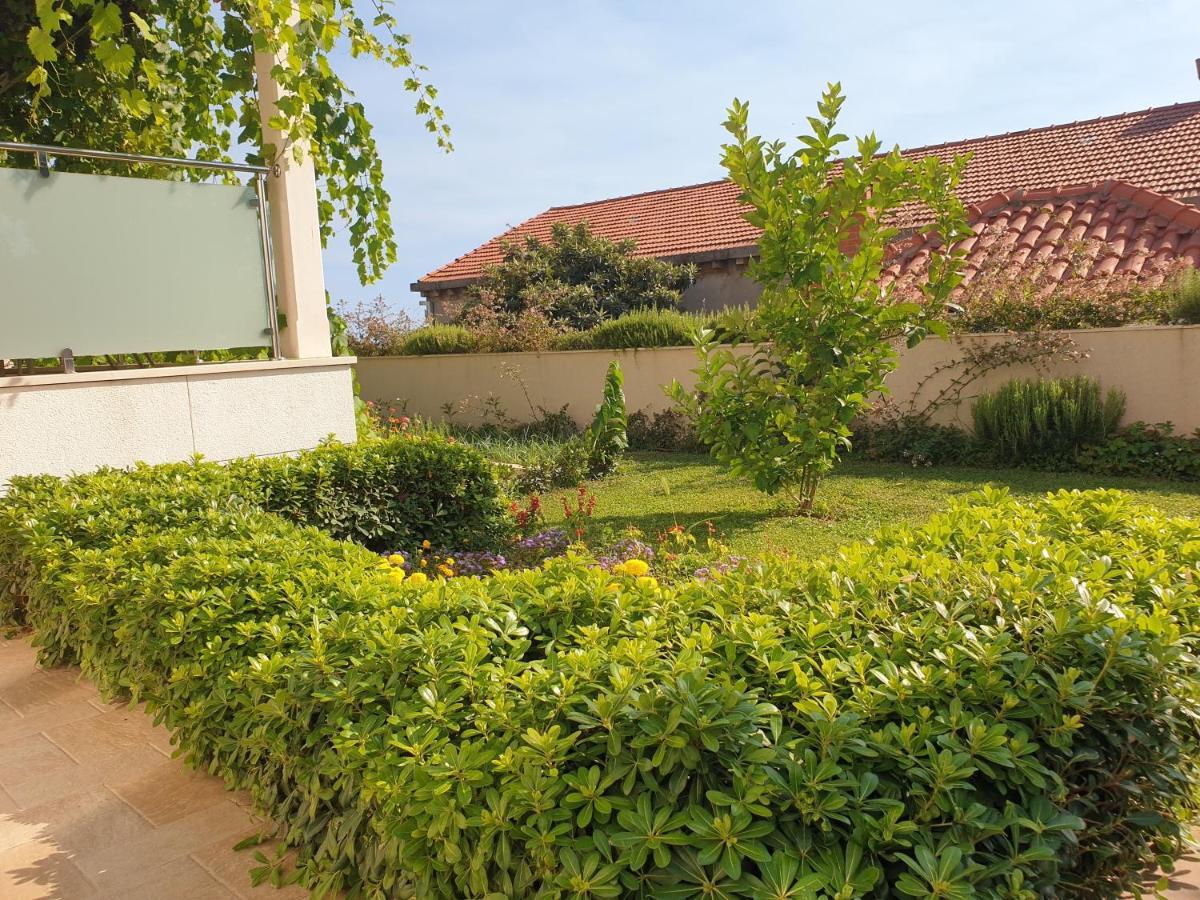 Abelia, Two Terraces, Hot Tub, Free Parking Apartment ดูบรอฟนิก ภายนอก รูปภาพ